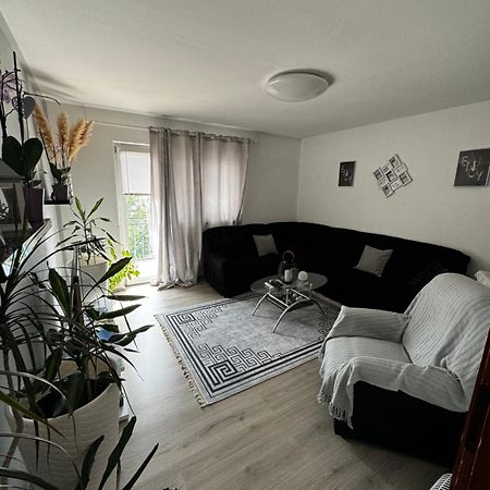 Apartment Danijela セニ エクステリア 写真