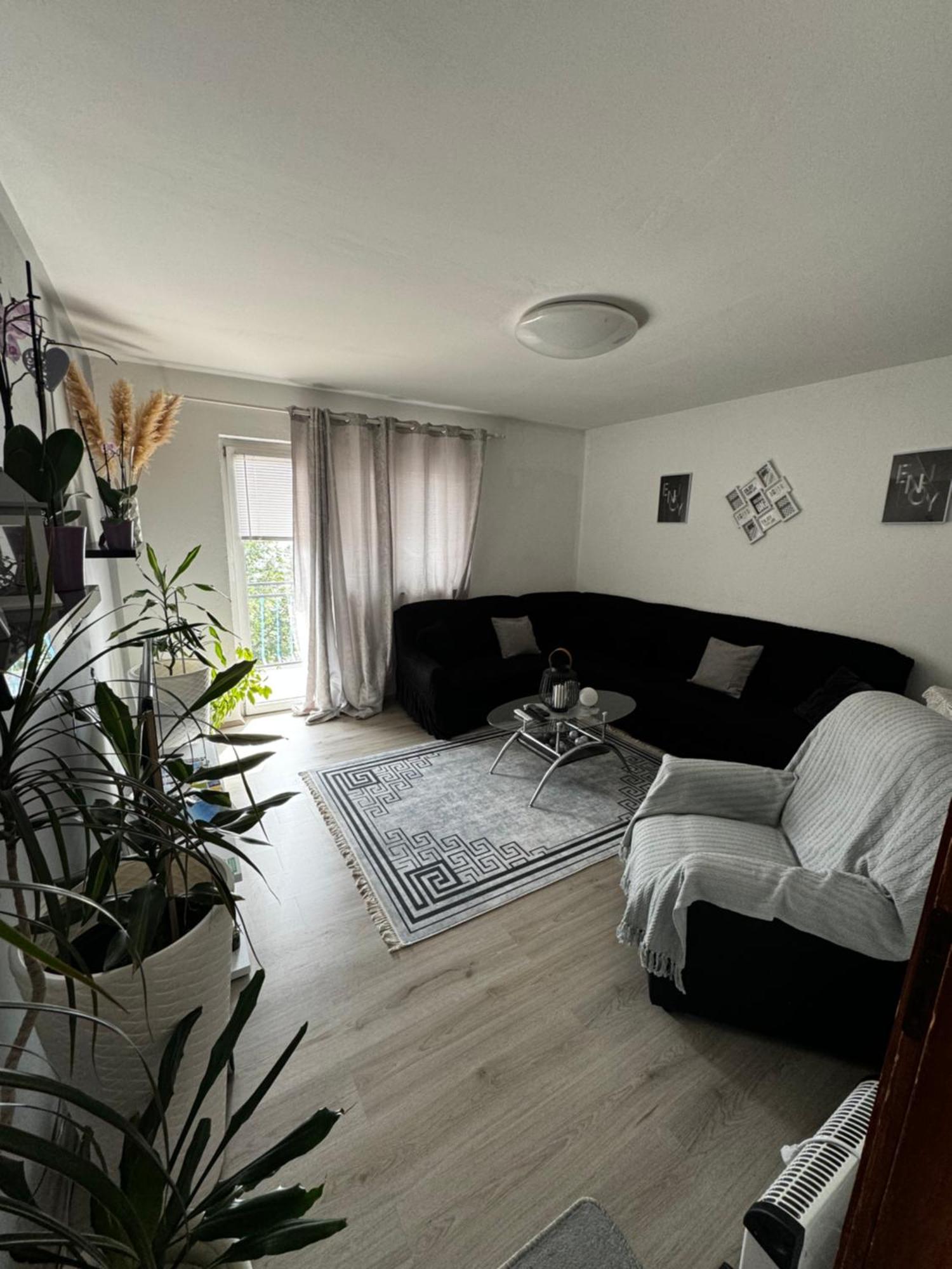 Apartment Danijela セニ エクステリア 写真