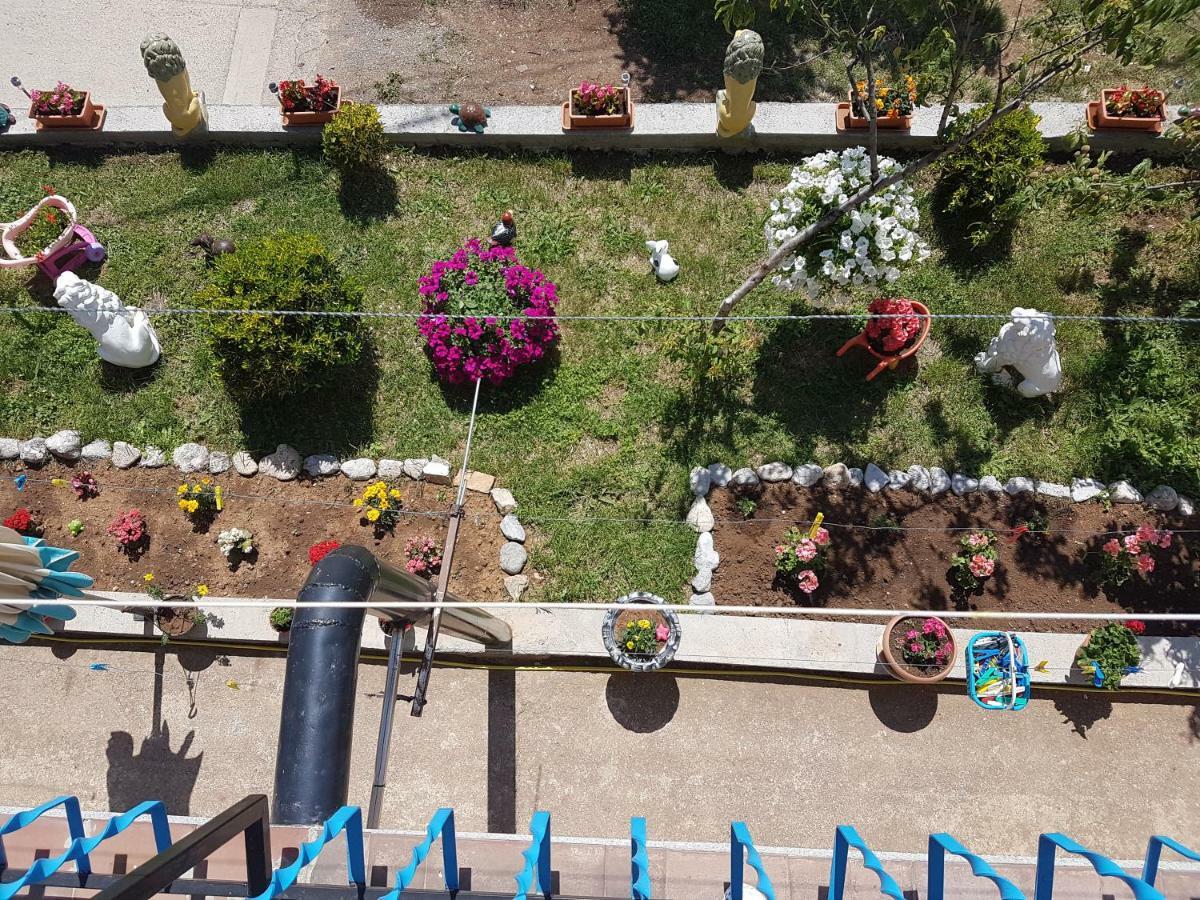 Apartment Danijela セニ エクステリア 写真